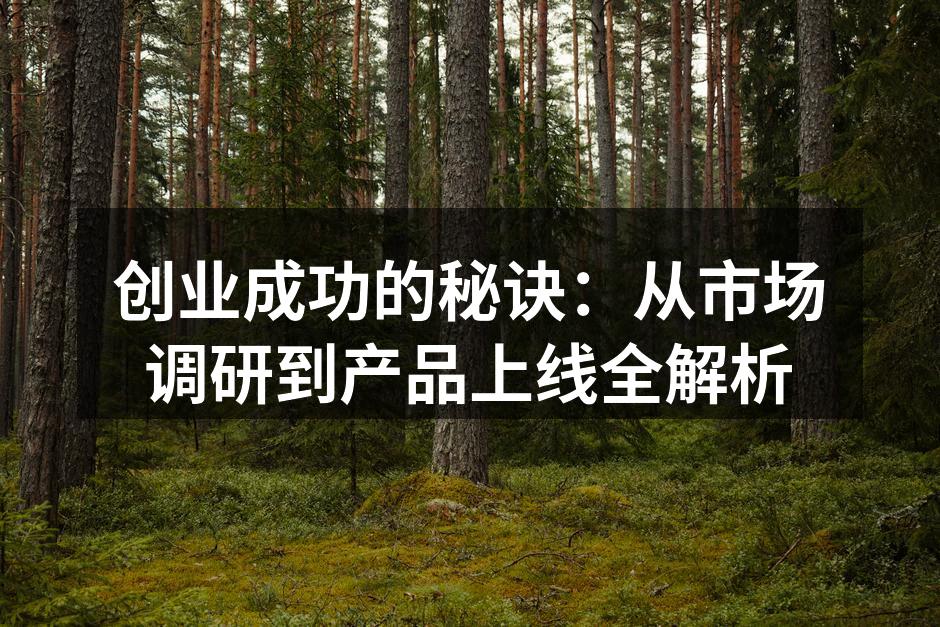 创业成功的秘诀：从市场调研到产品上线全解析
